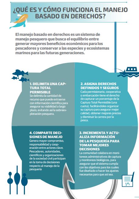 Fuente: EDF
