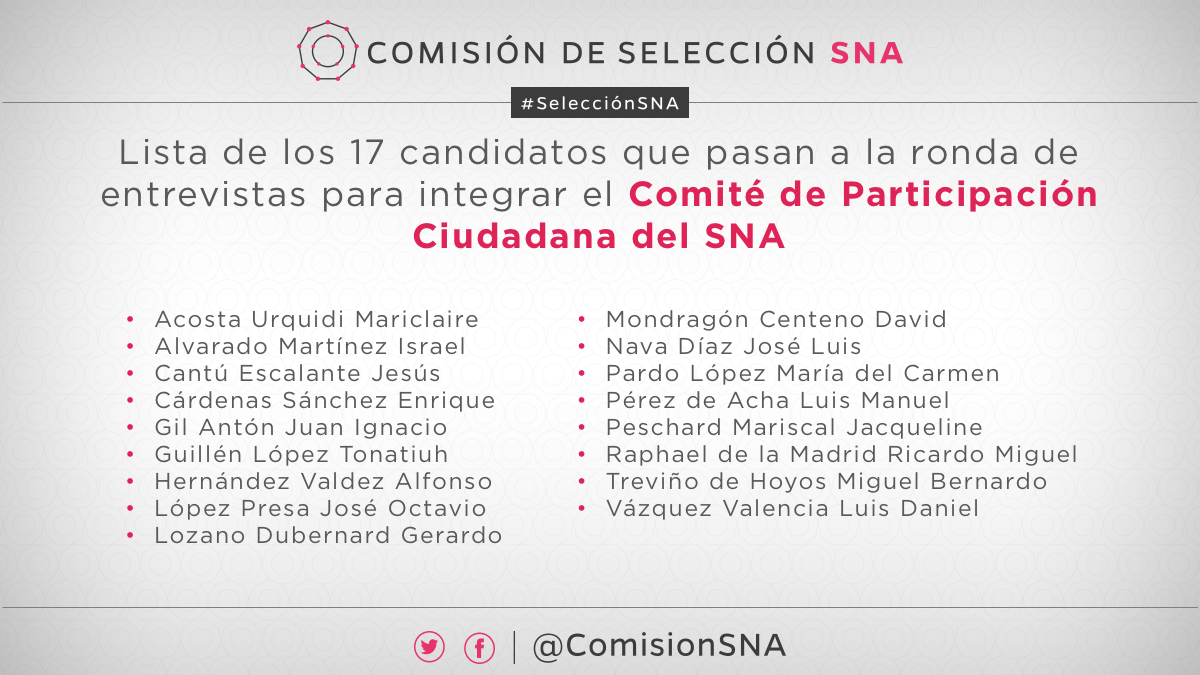 Entrevistas de los 17 candidatos a integrar el Comité de Participación